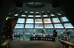Fish Image