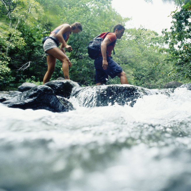 Family by the stream